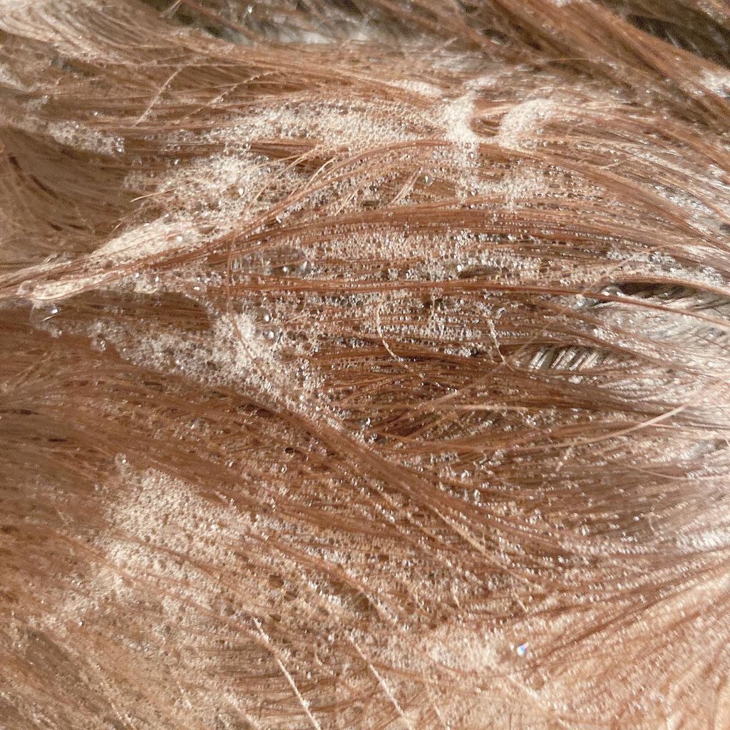 ビオルチアシャンプー/Bio Lucia(ビオルチア)/市販シャンプーを使ったクチコミ（3枚目）