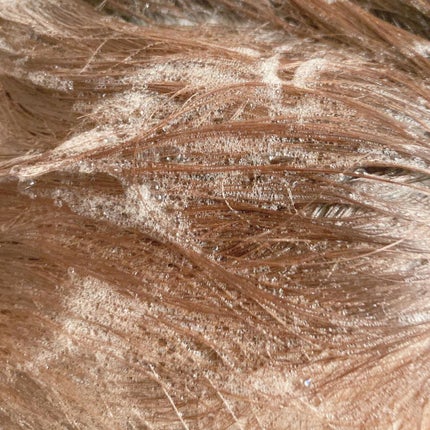 ビオルチアシャンプー/Bio Lucia(ビオルチア)/市販シャンプーを使ったクチコミ(3枚目)