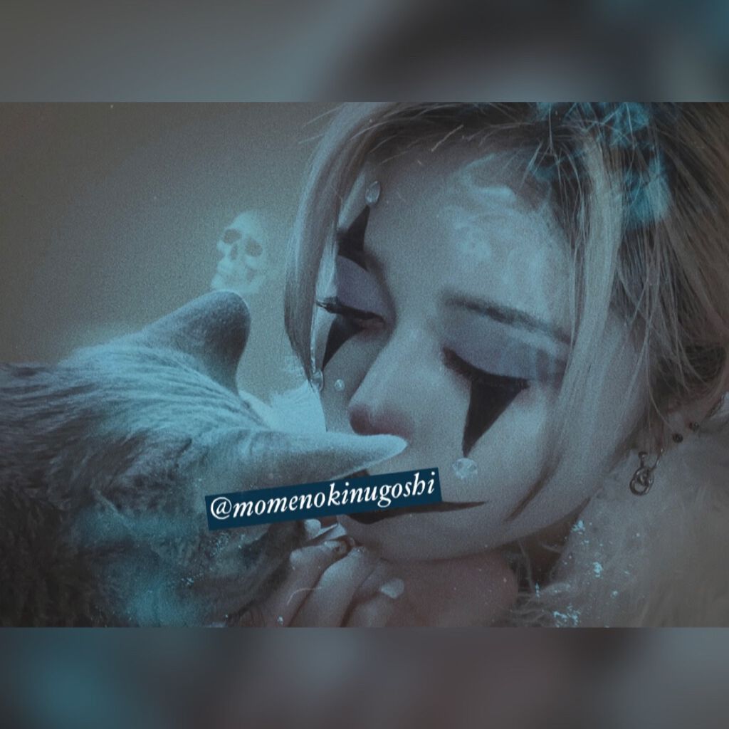 【旧】サンク クルール クチュール/Dior/アイシャドウパレットを使ったクチコミ（3枚目）