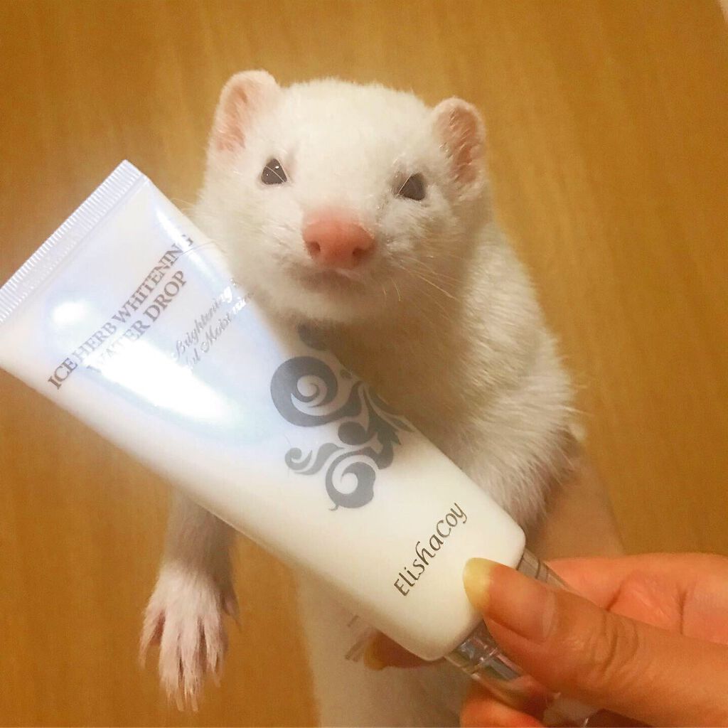 アイスハーブホワイトニングウォータードロップ/Elishacoy/美容液を使ったクチコミ(3枚目)