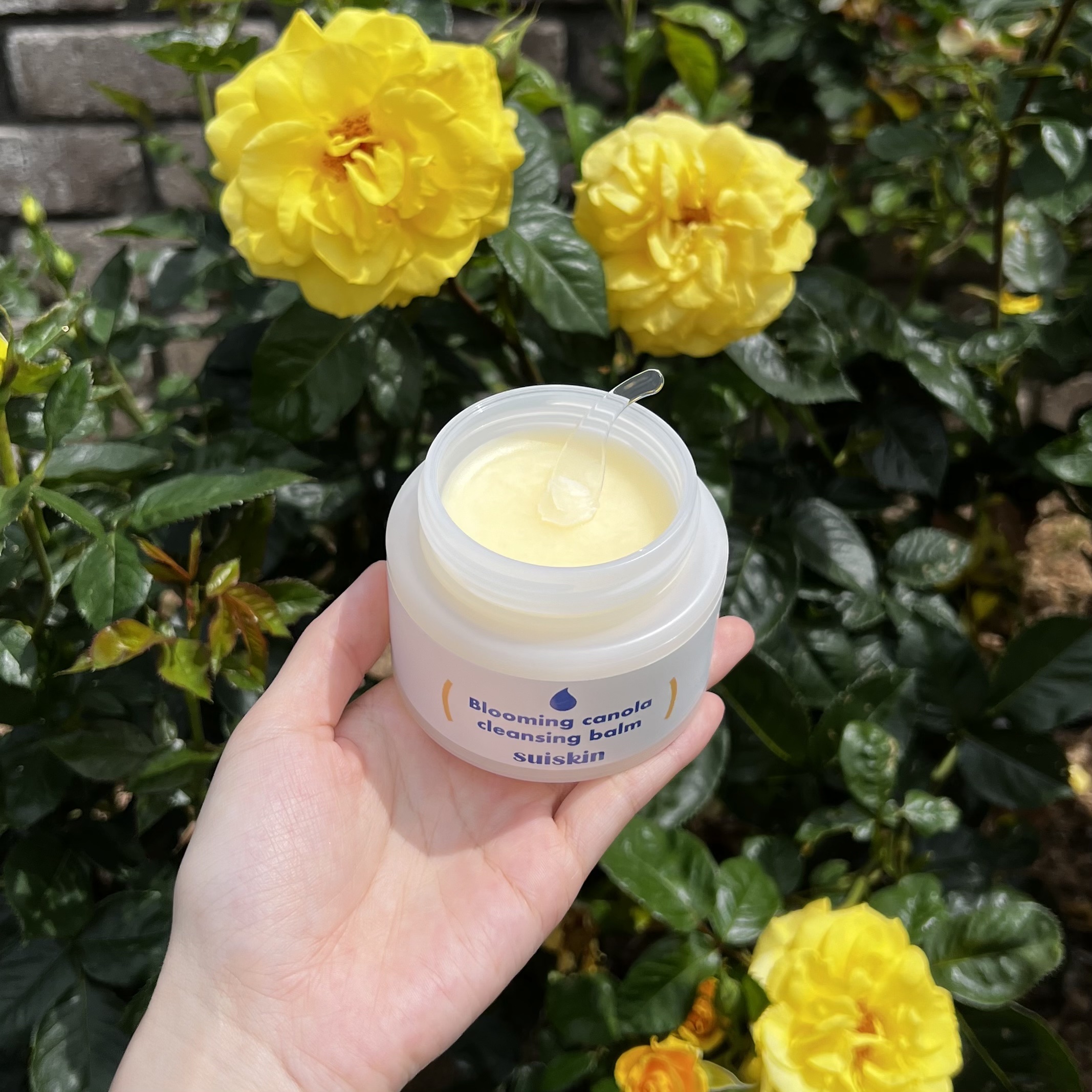 Blooming canola cleansing balm/suiskin/クレンジングバームを使ったクチコミ（2枚目）