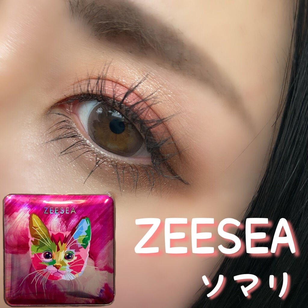 スキルレスライナー/LUMIURGLAS/リキッドアイライナーを使ったクチコミ(1枚目)