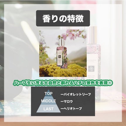 マロウ オン ザ ムーア コロン/Jo MALONE LONDON/香水(その他)を使ったクチコミ(3枚目)