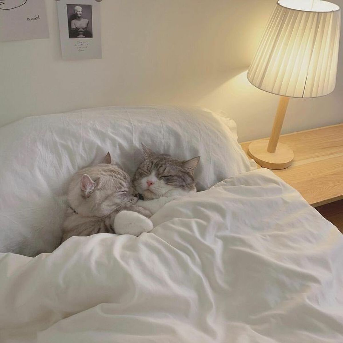 ジューシーラスティングティント/rom&nd/リップティントを使ったクチコミ（2枚目）