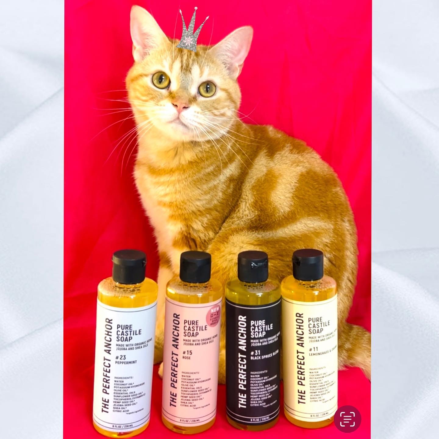 ザ・パーフェクトアンカー ブラックスプルースブレンド #31/THE PERFECT ANCHOR/ボディソープを使ったクチコミ（1枚目）