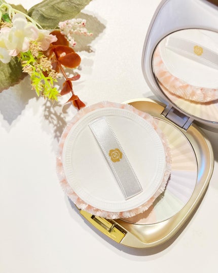 サンブロックルーセントパウダーex./ステファニー/プレストパウダーを使ったクチコミ(3枚目)