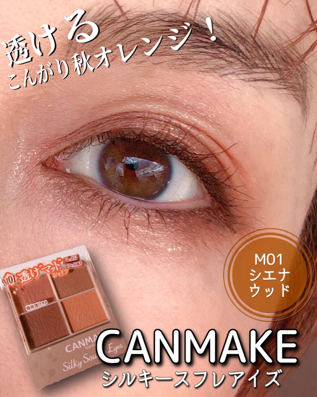 シルキースフレアイズ(マットタイプ)/キャンメイク/アイシャドウパレットを使ったクチコミ(1枚目)