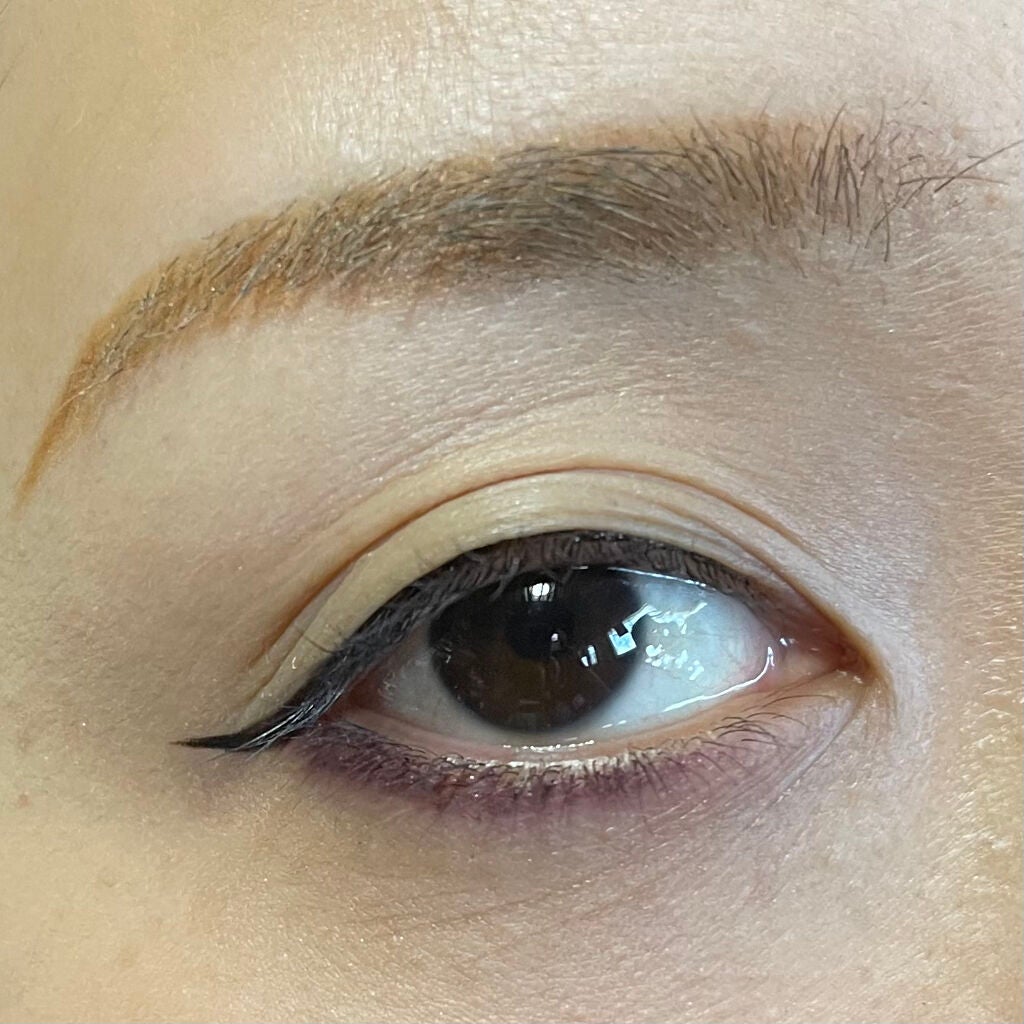 リアルラスティングアイライナー24hWPk /K-パレット/リキッドアイライナーを使ったクチコミ(4枚目)