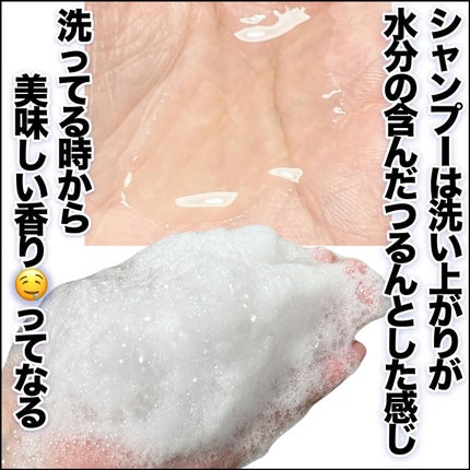 オイルインシャンプー/オイルインコンディショナー (グロス&リペア)/ディアボーテ/市販シャンプーを使ったクチコミ(3枚目)