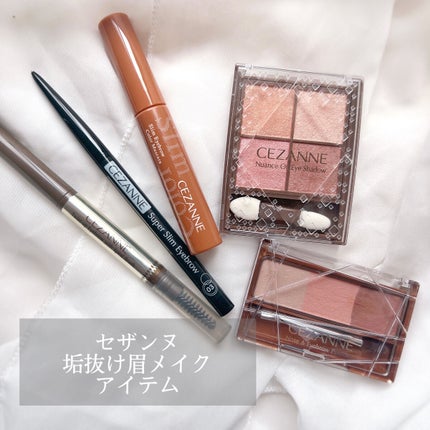 ノーズ&アイブロウパウダー/CEZANNE/パウダーアイブロウを使ったクチコミ(1枚目)