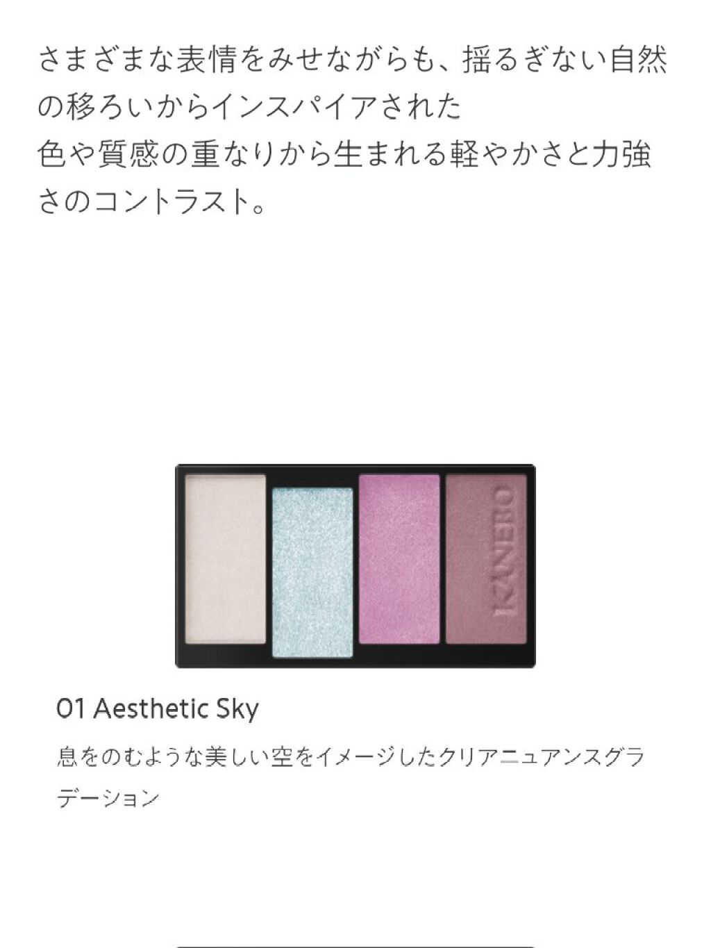 レイヤードカラーズアイシャドウ/KANEBO/アイシャドウパレットを使ったクチコミ(3枚目)