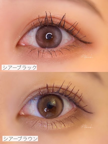 ブロウラッシュEX 美束カールロックマスカラ シア―ブラウン/ブロウラッシュ/マスカラを使ったクチコミ(3枚目)