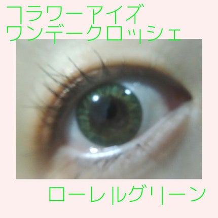 フラワーアイズ ワンデー クロッシェ/株式会社ビューフロンティア/ワンデー(1DAY)カラコンを使ったクチコミ(1枚目)