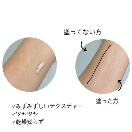 デューイスキン クリエイター/ALBION/化粧下地を使ったクチコミ(2枚目)