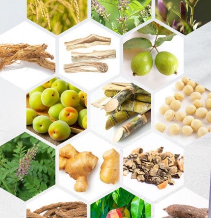 ヘアリッチローション/リソウコーポレーション/頭皮ローションを使ったクチコミ(7枚目)