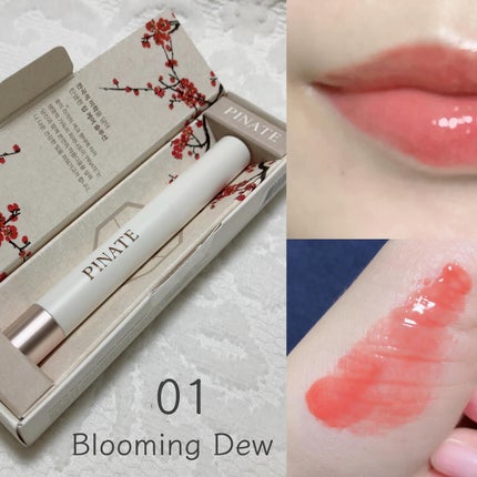 ベアグローペプチドメルティングバーム/PINATE/リップグロスを使ったクチコミ(3枚目)