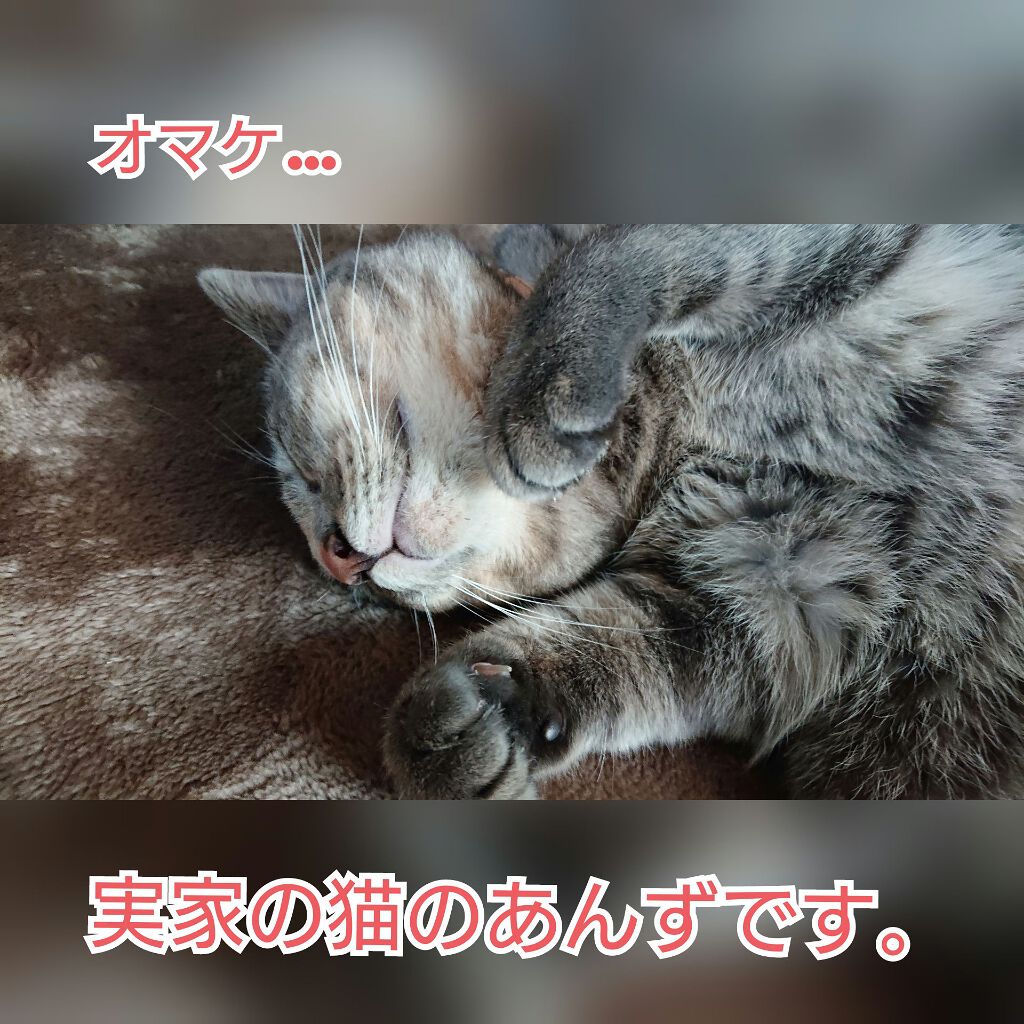 トーンアップアイシャドウ/CEZANNE/アイシャドウパレットを使ったクチコミ(3枚目)