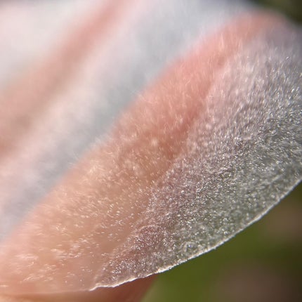 セラノールゲルトナーパッド/Biodance/トナーパッドを使ったクチコミ(4枚目)