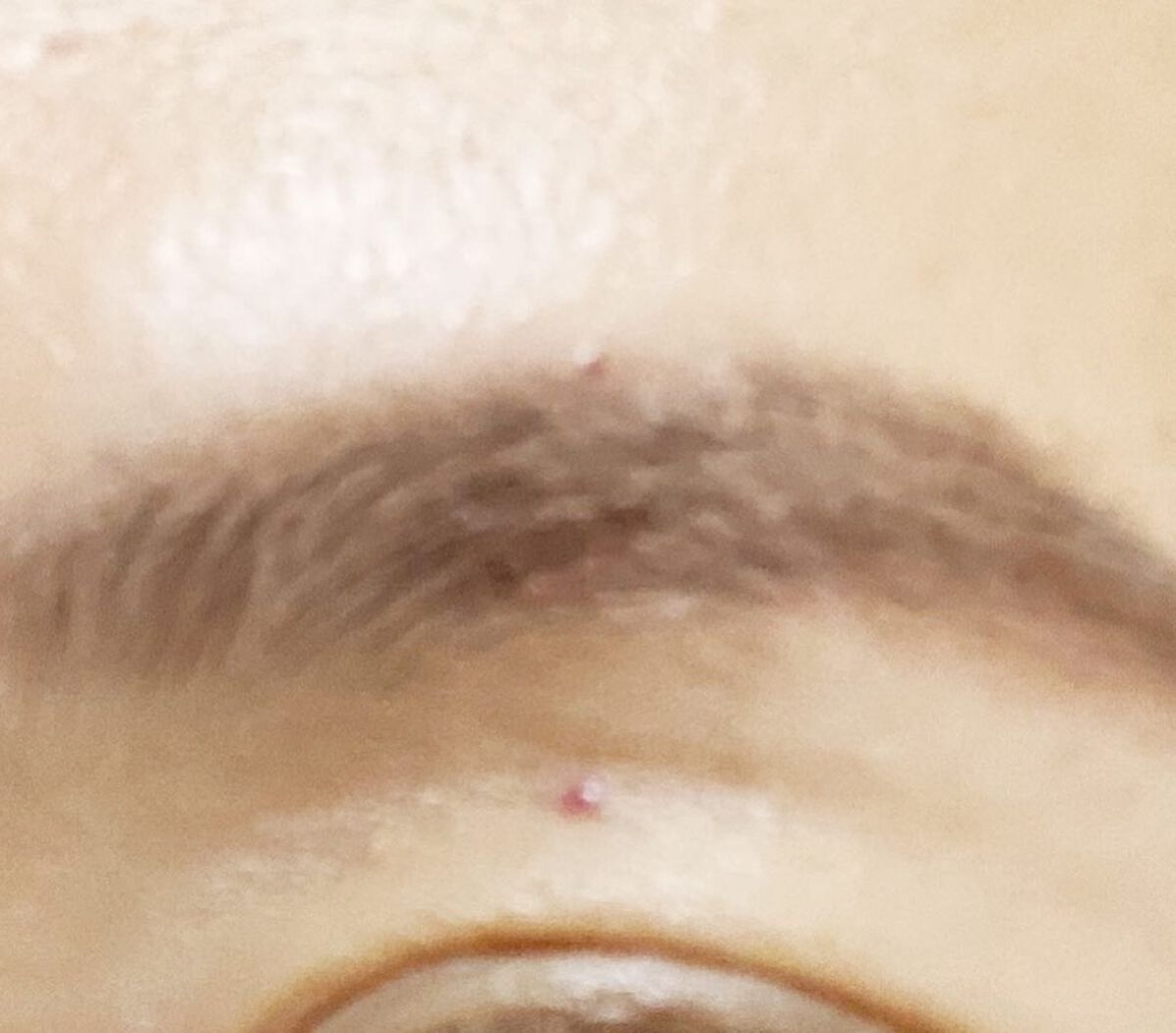 パウダーアイブロウ/media luxe/パウダーアイブロウを使ったクチコミ(3枚目)