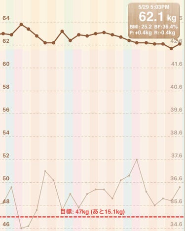 R ioka on LIPS 「ダイエット記録です体重　62.1㌔体脂肪　36.4%朝　無し昼..」（2枚目）