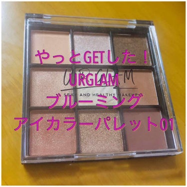 UR GLAM　BLOOMING EYE COLOR PALETTE/U R GLAM/パウダーアイシャドウを使ったクチコミ（1枚目）