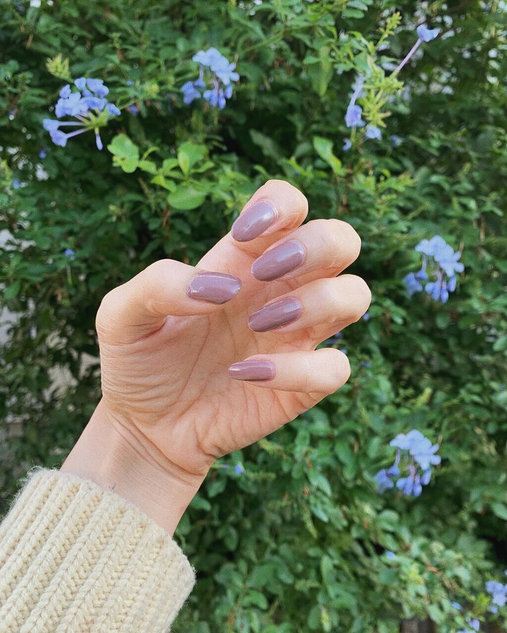 ラコララン ネイルポリッシュ/lacoraran/マニキュアを使ったクチコミ(2枚目)