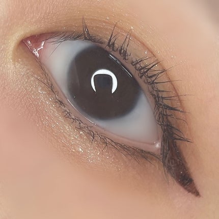 シャドウパレット/dasique/アイシャドウパレットを使ったクチコミ(5枚目)