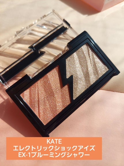 エレクトリックショックアイズ  EX-1 ブルーミングシャワー/KATE/アイシャドウパレットを使ったクチコミ(1枚目)