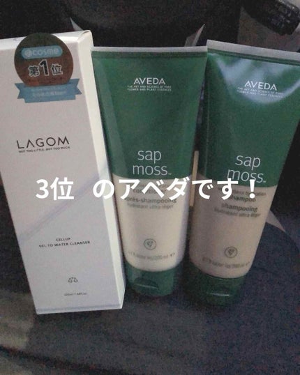 サップモス ウェイトレス ハイドレーション シャンプー/コンディショナー/AVEDA/サロンシャンプーを使ったクチコミ(3枚目)