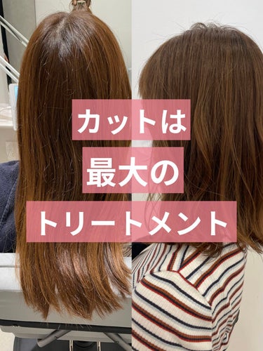 TANAKA/滋賀美容室/フォロバ100 on LIPS 「【カットは最大のトリートメント】美容師界ではカットが“1番のト..」（1枚目）