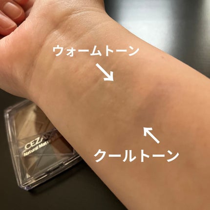 ナチュラルマットシェーディング/CEZANNE/シェーディングを使ったクチコミ(2枚目)