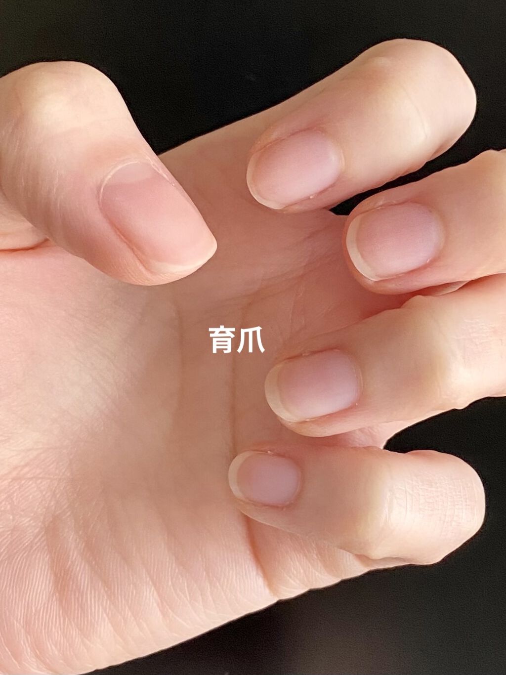 パーフェクトネイルコート/M･N･B･B/オールインワンネイルを使ったクチコミ（1枚目）