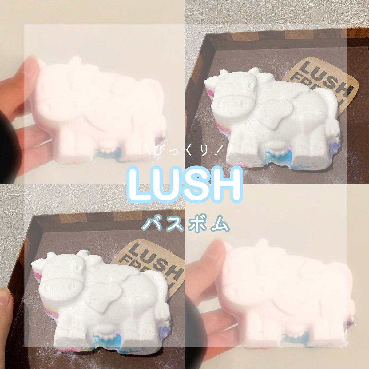 トビーズマジックカウ/ラッシュ/保湿系入浴剤を使ったクチコミ(1枚目)