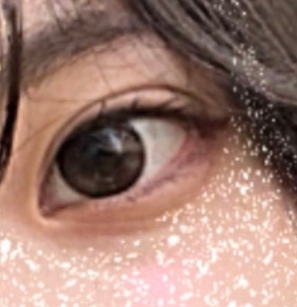 エバーカラーワンデー ナチュラル/エバーカラー/ワンデー(1DAY)カラコンを使ったクチコミ(2枚目)