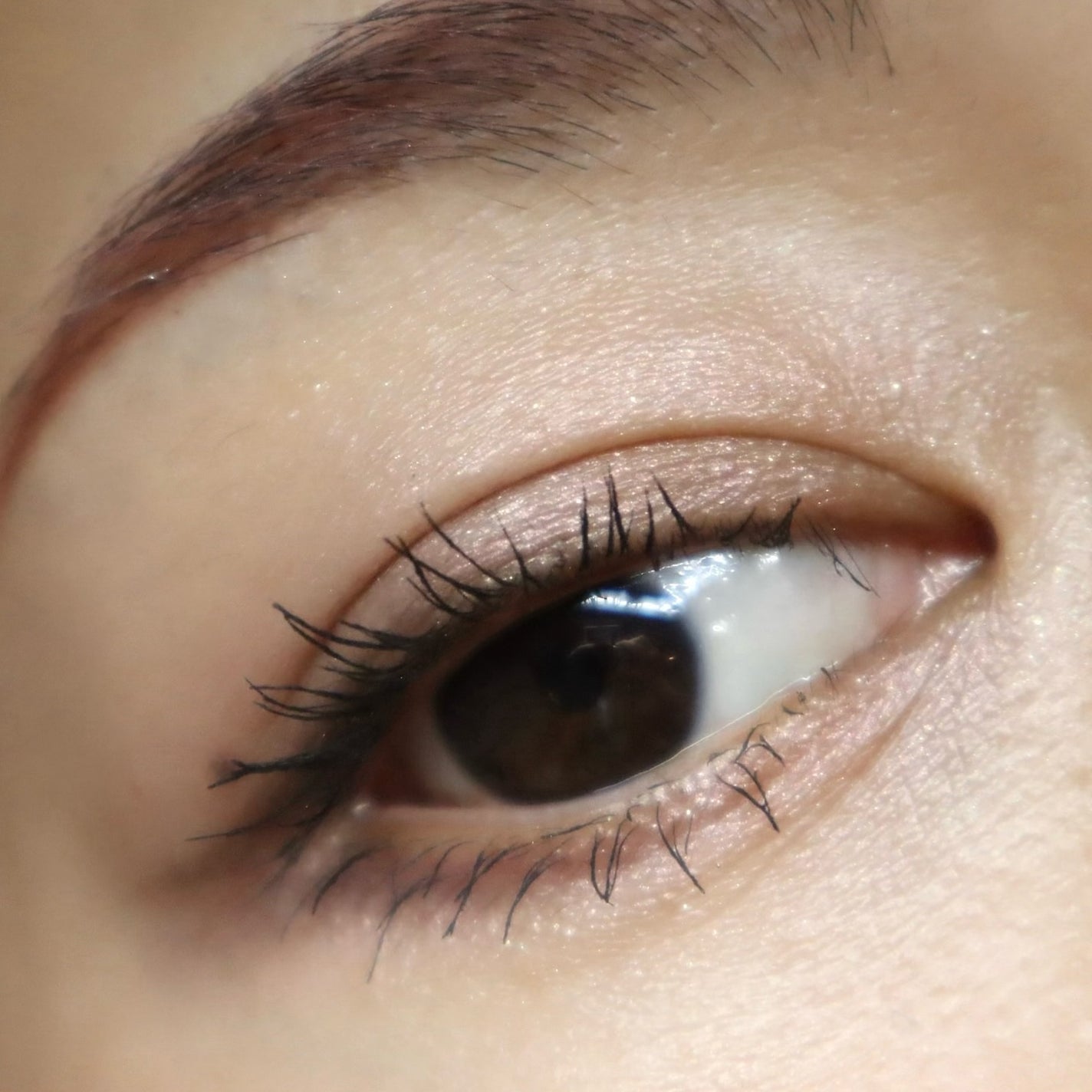 セルヴォーク ヴァティック アイパレット/Celvoke/アイシャドウパレットを使ったクチコミ(5枚目)