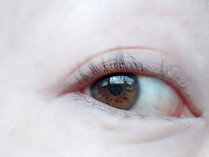 マルチメイクアップシェーディング/Say/シェーディングを使ったクチコミ(6枚目)