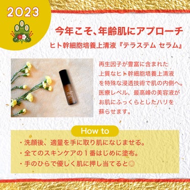 春のコレクション 18%OFF】 水橋保寿堂 テラステムセラム 30ml パック