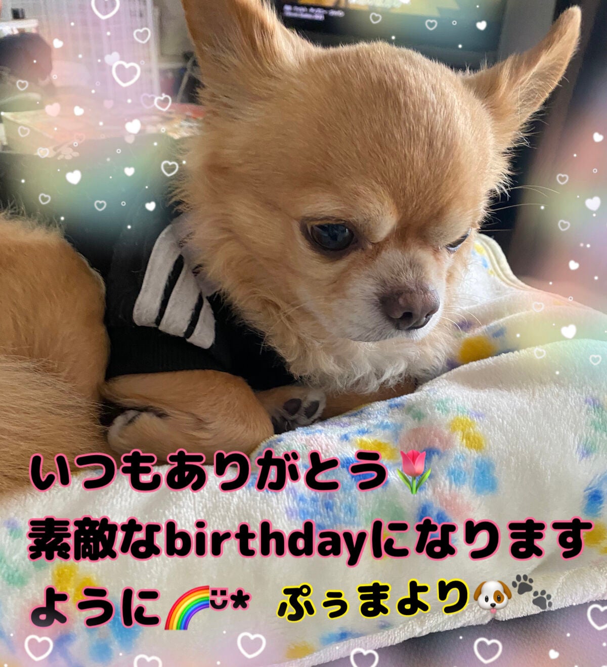 カラフルネイルズ/キャンメイク/マニキュアを使ったクチコミ(7枚目)