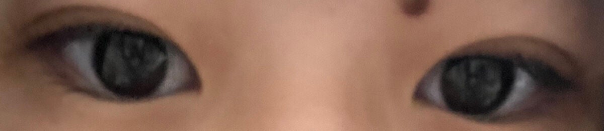 パーフェクトマルチアイズ/キャンメイク/アイシャドウパレットを使ったクチコミ(4枚目)