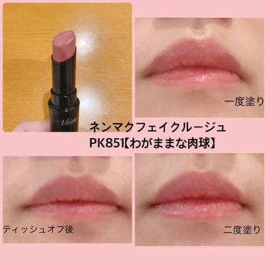 Visée ネンマクフェイク ルージュのクチコミ「人気の口紅💄を比較してみました☺️

【使った商品】Viséeネンマクフェイク ルージュ
【色.....」（3枚目）