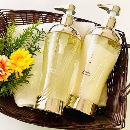 ドリーミー モイスト シャンプー/ヘアトリートメント/THERATIS/市販シャンプーを使ったクチコミ(4枚目)