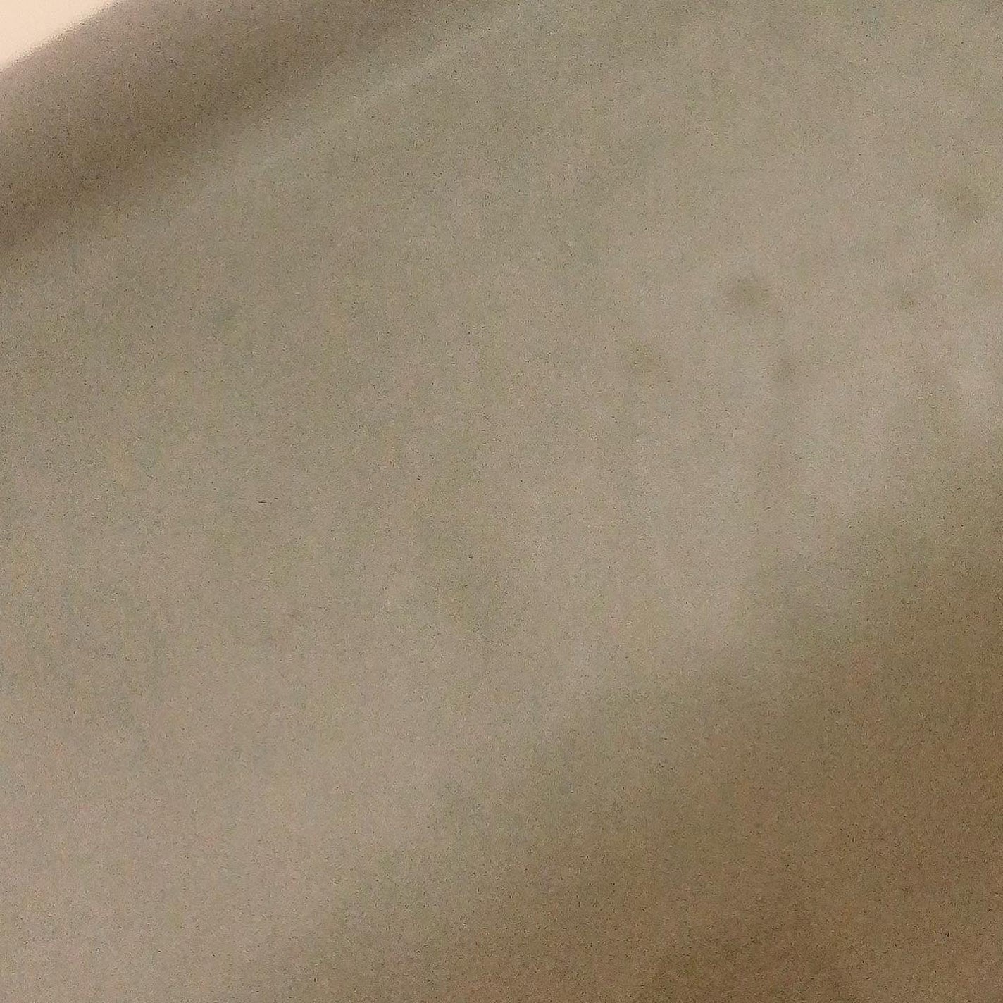 汗かきエステ気分 黒の衝撃/マックス/炭酸系入浴剤を使ったクチコミ(3枚目)