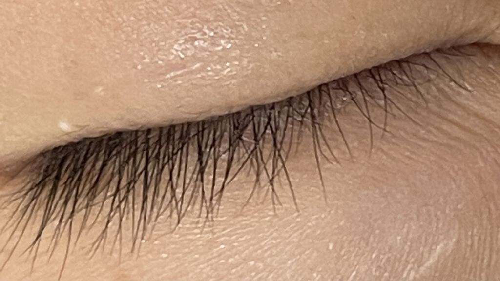 まつげ美容液EX/CEZANNE/まつげ美容液を使ったクチコミ（1枚目）