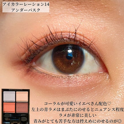 アイカラーレーション/LUNASOL/アイシャドウパレットを使ったクチコミ(8枚目)