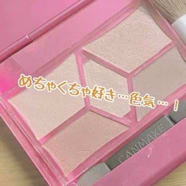 【旧品】パーフェクトスタイリストアイズ/キャンメイク/アイシャドウパレットを使ったクチコミ（1枚目）