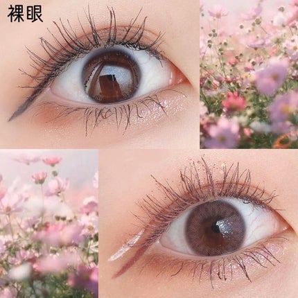 Rluuchy Oneday/Torico Eye./カラーコンタクトレンズを使ったクチコミ(3枚目)