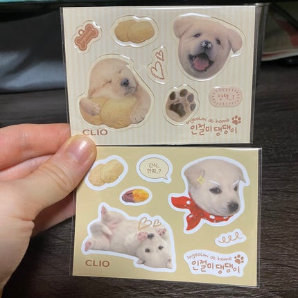 プロ アイ パレット/CLIO/アイシャドウパレットを使ったクチコミ(3枚目)