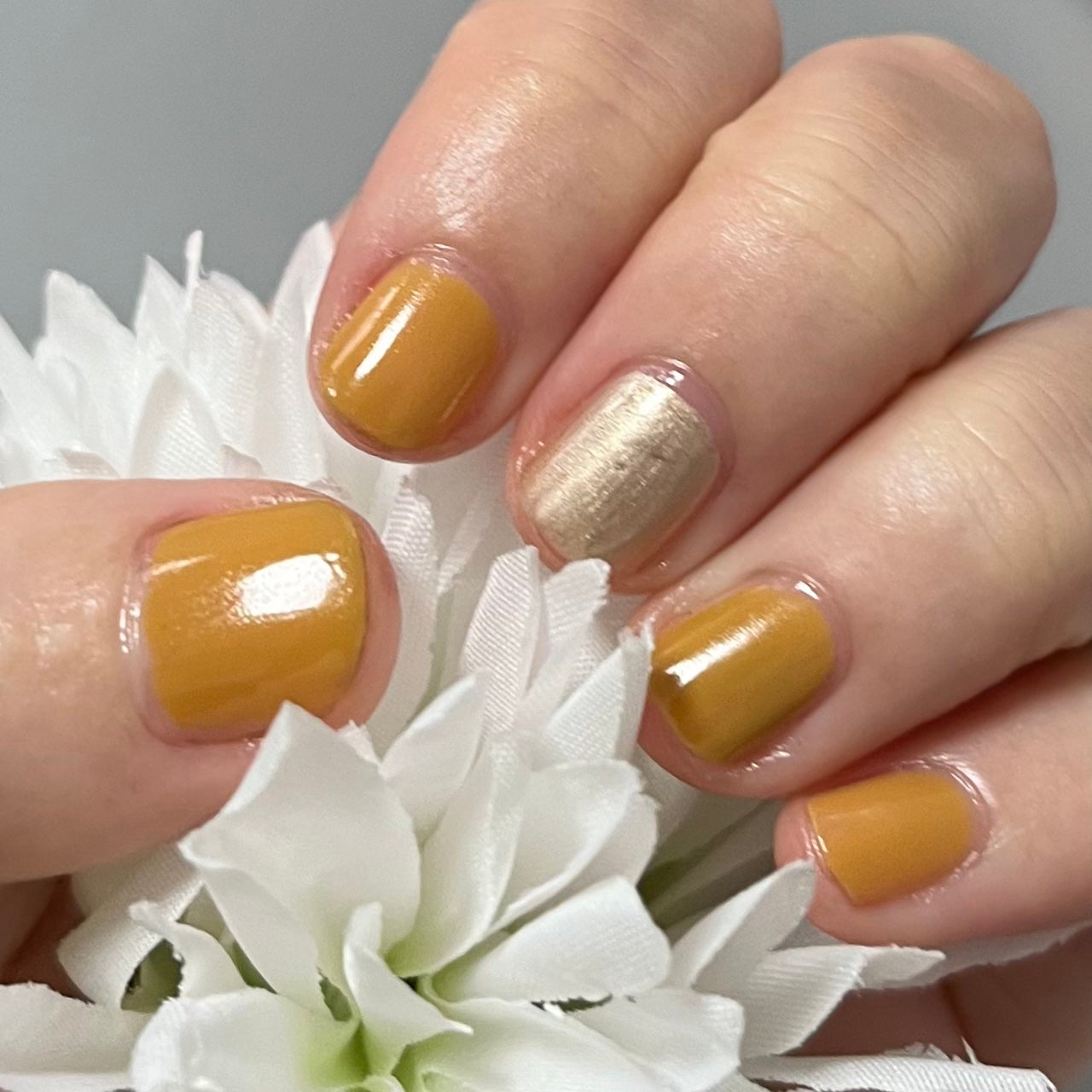 pa ネイルカラー/pa nail collective/マニキュアを使ったクチコミ(1枚目)