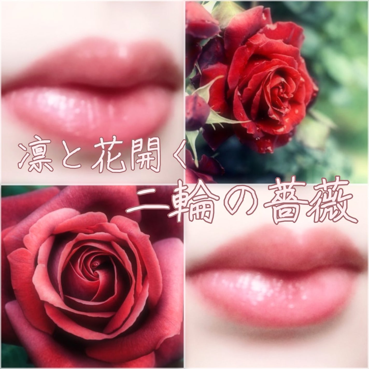 リップカラーシールド/CEZANNE/口紅を使ったクチコミ(1枚目)