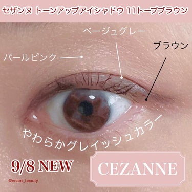 トーンアップアイシャドウ/CEZANNE/パウダーアイシャドウを使ったクチコミ（3枚目）